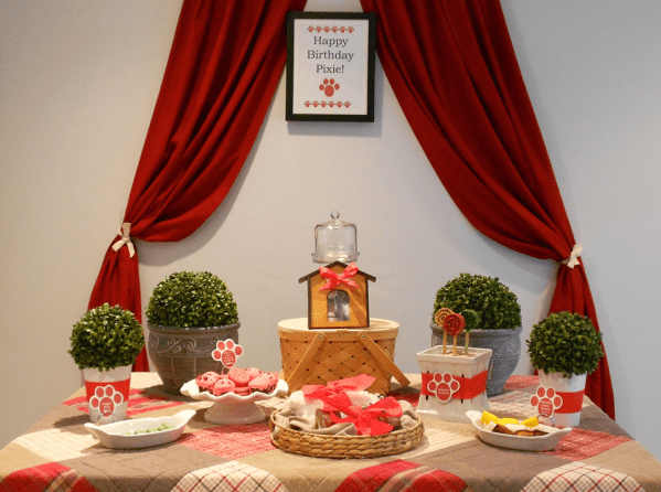 Inspiration Senses - Paw-py Birthday