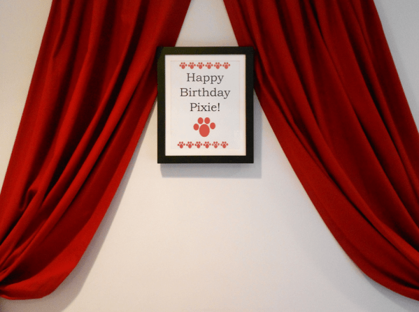 Inspiration Senses - Paw-py Birthday - Birthday Sign