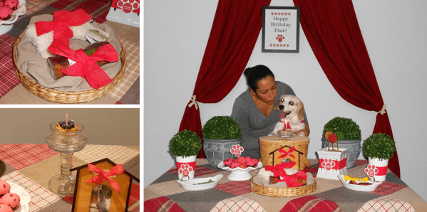 Inspiration Senses - Paw-py Birthday - Make A Wish!